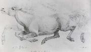 William Strutt Lady Blunt-s Arab mare,Sherifa Spain oil painting artist